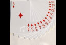 Big Names Make It To The National Poker Championship