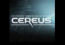 Cereus denies bankruptcy rumours