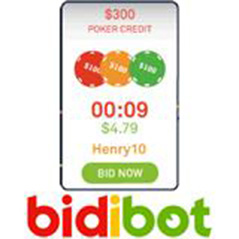 More bargains bagged at Bidibot.com