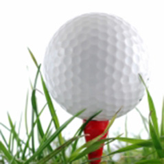 Finnish Foursomes Match Devised on Golf Course