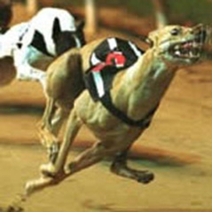 Register for this weekend’s UK Low Stakes Poker Tour Event