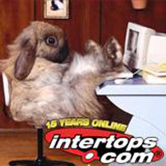 $2,500 Easter giveaway from Intertops Poker