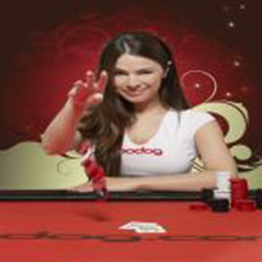 Tatjana Pasalic joins Team Bodog