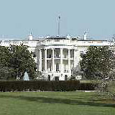 Bookies back Obama for White House return